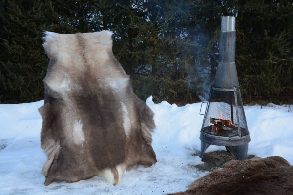 Rentierfell Great Wild Lion XXXL